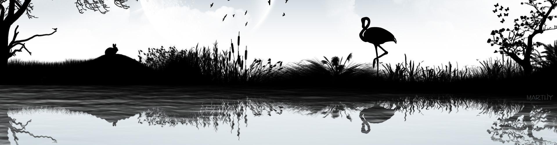 商事主體聯系函 背面